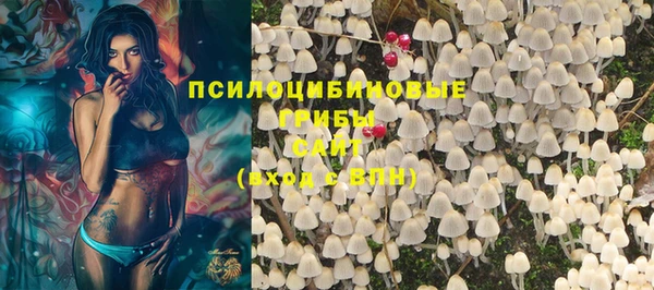 spice Покровск