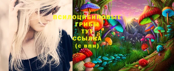 spice Покровск