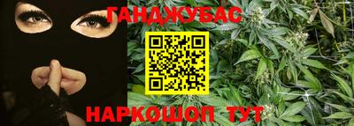 крисы Аргун