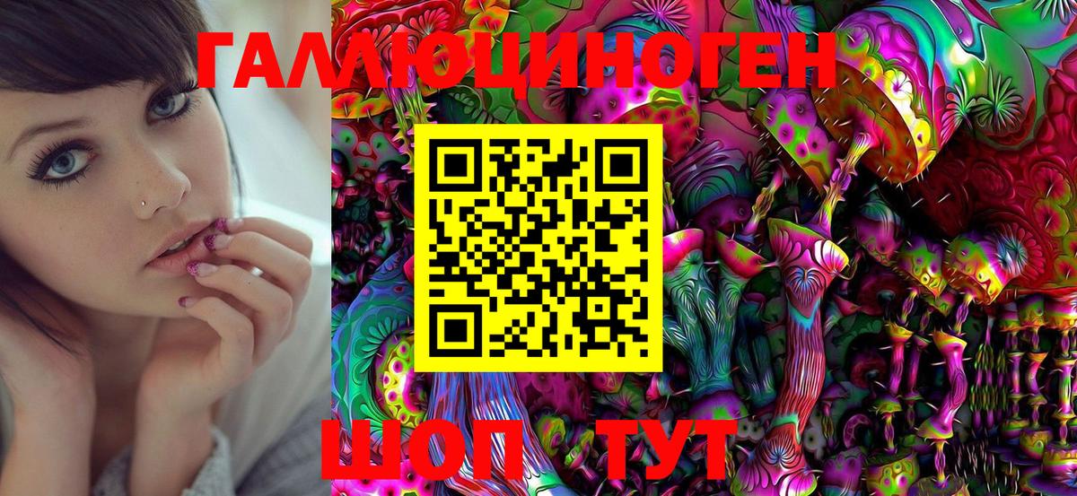 Галлюциногенные грибы Cubensis Выборг