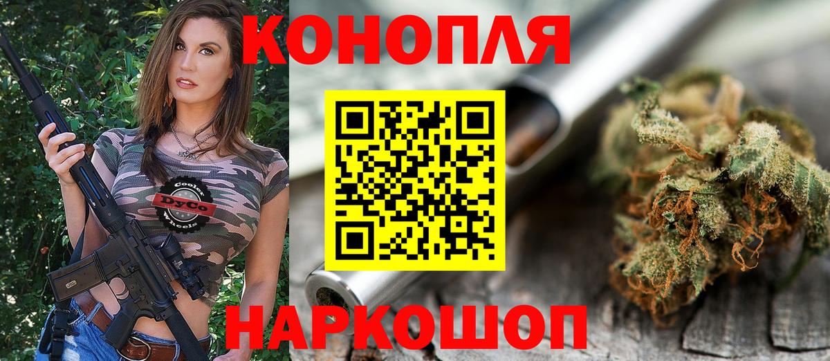 Канабис семена  Вход с VPN  Выборг  Каннабис семена  Конопля сатива 